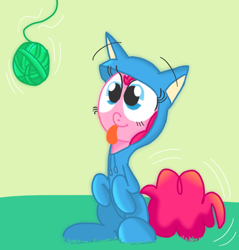 Size: 568x593 | Tagged: safe, artist:mr-degration, pinkie pie, earth pony, pony, animal costume, ball, begging, behaving like a cat, cat costume, clothes, cute, dangling, excited, happy, kitty suit, pinkie cat, sitting, smiling, string, tongue out, yarn, yarn ball