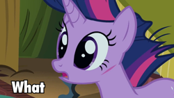 Size: 960x540 | Tagged: safe, derpibooru import, twilight sparkle, caption, image macro, solo, wat