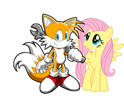 Size: 735x650 | Tagged: safe, artist:moongazeponies, fluttershy, pegasus, pony, crossover, miles "tails" prower, simple background, sonic the hedgehog (series), transparent background, vector