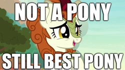 Size: 1920x1080 | Tagged: safe, edit, edited screencap, screencap, autumn blaze, kirin, sounds of silence, best kirin, best pony, caption, cute, image macro, smiling, text