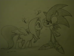 Size: 3648x2736 | Tagged: safe, artist:drawing-elite-9, fluttershy, pegasus, pony, crossover, photo, sonic the hedgehog, sonic the hedgehog (series), traditional art