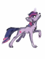 Size: 768x1024 | Tagged: safe, artist:disasterologyx, derpibooru import, twilight sparkle, wolf, solo, species swap, twiwolf, wolfified