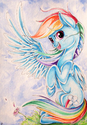 Size: 2122x3034 | Tagged: safe, artist:yellowrobin, derpibooru import, rainbow dash, pegasus, pony, solo, traditional art