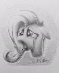 Size: 1873x2337 | Tagged: safe, artist:lollipony, fluttershy, pegasus, pony, crying, female, floppy ears, grayscale, mare, monochrome, solo, traditional art