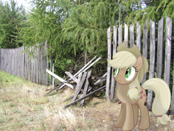 Size: 2048x1536 | Tagged: safe, artist:claritea, artist:missbeigepony, applejack, pony, broken, discorded, fence, irl, liar face, liarjack, photo, ponies in real life, reference, scrunchy face, silly, silly pony, solo, tree, vector, who's a silly pony