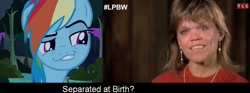 Size: 1094x405 | Tagged: safe, derpibooru import, rainbow dash, pegasus, pony, amy roloff, faic, image macro, little people big world, meme, separated at birth, smugdash