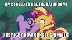 Size: 800x450 | Tagged: safe, edit, edited screencap, screencap, sci-twi, sunset shimmer, twilight sparkle, pony, unicorn, better together, equestria girls, spring breakdown, bathroom denial, boop, caption, cutie mark, desperation, emergency, equestria girls ponified, exclamation point, eyes closed, female, forest, glasses, holding, mare, meme, need to pee, nose to nose, noseboop, omorashi, one hoof raised, open eyes, open mouth, outdoors, ponified, potty time, scrunchy face, standing, stars, sun, text, tree, unicorn sci-twi, wall of tags, yelling