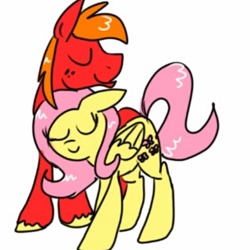 Size: 640x640 | Tagged: safe, artist:doodlepony22, big macintosh, fluttershy, earth pony, pegasus, pony, eyes closed, fluttermac, male, shipping, stallion, straight