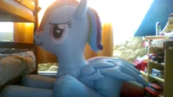 Size: 800x450 | Tagged: safe, derpibooru import, rainbow dash, bootleg, hongyi, inflatable, irl, low quality, photo