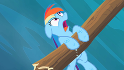 Size: 1280x720 | Tagged: safe, derpibooru import, screencap, rainbow dash, pegasus, pony, the mysterious mare do well, damsel in distress, hang in there, looking up, open mouth, shocked, solo, wet