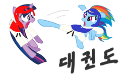 Size: 1050x625 | Tagged: dead source, safe, anonymous artist, derpibooru import, rainbow dash, twilight sparkle, pegasus, pony, black belt, chest guard, clothes, coward, cute, dashabetes, feminism, flying kick, gi, headgear, if only, karma, kicking, korean, martial arts, robe, taekwondo, trousers