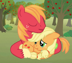 Size: 600x530 | Tagged: safe, artist:thecat101, applejack, big macintosh, earth pony, pony, male, sad, stallion