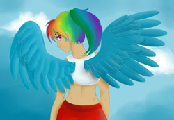 Size: 944x653 | Tagged: safe, artist:color--spectrum, derpibooru import, rainbow dash, human, humanized, winged humanization, wings