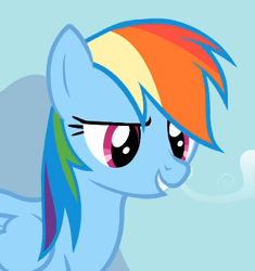 Size: 393x418 | Tagged: safe, derpibooru import, screencap, rainbow dash, pegasus, pony, reaction image, smiling, solo