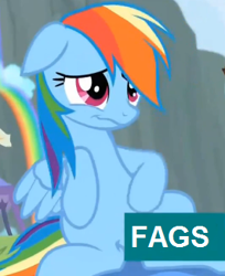 Size: 266x326 | Tagged: safe, derpibooru import, screencap, rainbow dash, pegasus, pony, rainbow falls, belly, cropped, reaction image, solo, text, vulgar