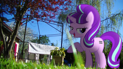 Size: 3840x2160 | Tagged: safe, artist:bastbrushie, artist:dashiesparkle, starlight glimmer, pony, bedroom eyes, equal cutie mark, fence, garden, irl, photo, ponies in real life, pose, raised hoof, s5 starlight, shadow, solo, tree, vector, yard