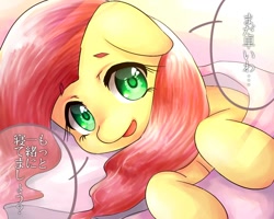 Size: 1000x800 | Tagged: safe, artist:dobado, fluttershy, pegasus, pony, japanese, looking at you, solo