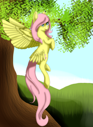 Size: 1196x1636 | Tagged: safe, artist:dictating-domino, fluttershy, pegasus, pony, female, mare, solo, tree