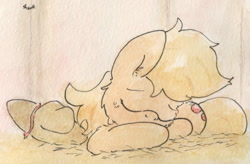 Size: 929x611 | Tagged: safe, artist:slightlyshade, applejack, earth pony, pony, sleeping, solo, tired, traditional art