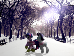 Size: 1920x1440 | Tagged: safe, artist:moongazeponies, artist:mr-blitz, artist:quanno3, derpibooru import, rarity, twilight sparkle, bench, boots, central park, clothes, irl, light post, new york city, photo, ponies in real life, scarf, snow, tree, vector