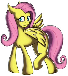 Size: 564x631 | Tagged: safe, artist:xnir0x, fluttershy, pegasus, pony, female, mare, pink mane, solo, yellow coat
