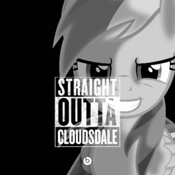 Size: 846x846 | Tagged: safe, derpibooru import, rainbow dash, pegasus, pony, forced meme, grin, looking at you, meme, solo, straight outta, straight outta compton
