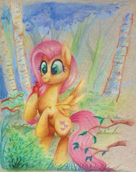 Size: 502x634 | Tagged: safe, artist:mapony240, fluttershy, bird, pegasus, pony, solo, traditional art