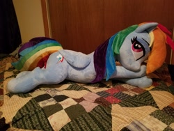 Size: 2048x1536 | Tagged: safe, artist:epicrainbowcrafts, derpibooru import, rainbow dash, pegasus, pony, bedroom eyes, irl, life size, lying down, photo, plushie, solo