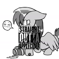 Size: 1692x1692 | Tagged: safe, derpibooru import, rainbow dash, pegasus, pony, apple cider, cider dash, forced meme, meme, monochrome, solo, straight outta compton