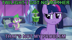 Size: 922x518 | Tagged: safe, derpibooru import, spike, twilight sparkle, twilight sparkle (alicorn), alicorn, dragon, pony, drama, female, image macro, mare, purple text, spikeabuse