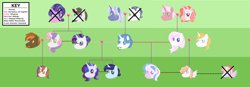 Size: 5752x2007 | Tagged: safe, artist:andy-hazards, artist:kindheart525, derpibooru import, button mash, cookie crumbles, fancypants, fleur-de-lis, hondo flanks, prince blueblood, rarity, sweetie belle, oc, oc:angel, oc:diamond mine, oc:feu rosé, oc:primrose, oc:pussy willow, oc:radiant jewel, oc:royal splendor, oc:silver chalice, oc:swan lake, oc:tulipe glacée, pony, unicorn, family tree, female, fleur-de-blueblood, kindverse, male, offspring, parent:button mash, parent:fancypants, parent:fleur-de-lis, parent:prince blueblood, parent:rarity, parent:sweetie belle, parents:fleur-de-blueblood, parents:raripants, parents:sweetiemash, raripants, shipping, straight, sweetiemash