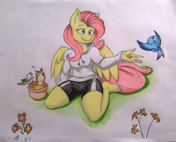 Size: 1265x1019 | Tagged: safe, artist:charlescaw, artist:joey darkmeat, fluttershy, anthro, bird, plantigrade anthro, barefoot, drawing, feeding, feet, traditional art