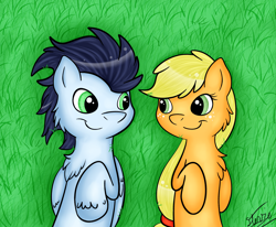 Size: 2562x2106 | Tagged: safe, artist:vigilantefreak, applejack, soarin', earth pony, pony, female, grass, hatless, looking at each other, male, missing accessory, on back, shipping, smiling, soarinjack, straight