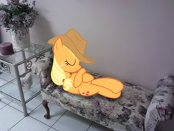 Size: 2048x1536 | Tagged: safe, artist:teiptr, artist:tokkazutara1164, applejack, candle, irl, photo, plant, ponies in real life, sleeping, sofa, solo, table, vector