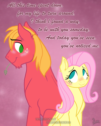 Size: 744x930 | Tagged: safe, artist:thephoebster, big macintosh, fluttershy, earth pony, pegasus, pony, blushing, fluttermac, lyrics, male, shipping, stallion, straight