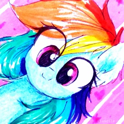 Size: 1153x1153 | Tagged: safe, artist:liaaqila, derpibooru import, rainbow dash, pegasus, pony, abstract background, bust, cute, dashabetes, female, mare, smiling, solo, traditional art