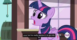 Size: 1600x830 | Tagged: safe, derpibooru import, screencap, twilight sparkle, twilight sparkle (alicorn), alicorn, pony, three's a crowd, female, hub logo, mare, meme, out of context, solo, youtube caption