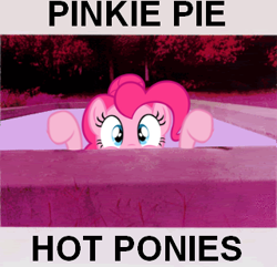 Size: 320x308 | Tagged: safe, artist:delzepp, pinkie pie, earth pony, pony, album cover, frank zappa, parody, vector