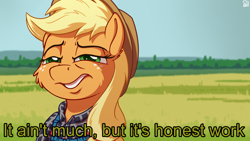 Size: 3840x2160 | Tagged: safe, artist:pirill, applejack, derpy hooves, earth pony, pony, caption, cheek fluff, clothes, female, field, fluffy, hat, meme, plaid, ponified meme, solo, squint, text, when you see it