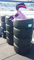 Size: 717x1275 | Tagged: safe, artist:kartracer17, derpibooru import, twilight sparkle, human, glare, glowing eyes, grand stands, grin, irl, nascar, photo, ponies in real life, race track, racecar, smiling, solo, this will end in tears, tires, vector