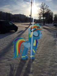 Size: 2448x3264 | Tagged: artist needed, safe, derpibooru import, rainbow dash, pony, irl, photo, ponies in real life, snow, solo, winter, wonderbolts