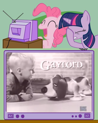 Size: 600x750 | Tagged: safe, derpibooru import, pinkie pie, twilight sparkle, dog, earth pony, pony, exploitable meme, facehoof, fail, gaylord, meme, mixed reactions, obligatory pony, toy, tv meme