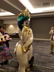 Size: 1024x1365 | Tagged: safe, artist:toki, princess celestia, human, babscon, babscon 2016, fursuit, irl, irl human, photo