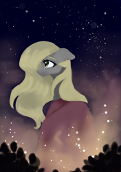 Size: 2322x3300 | Tagged: safe, artist:livitoza, derpy hooves, pony, alternate hairstyle, cloak, clothes, female, floppy ears, long hair, mare, night, profile, smiling, solo, starry night, stars