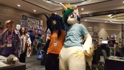 Size: 600x338 | Tagged: safe, artist:kolshica, artist:toki, princess celestia, princess luna, human, clothes, cosplay, costume, fursuit, i'm with stupid, irl, irl human, photo