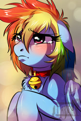 Size: 1229x1840 | Tagged: safe, artist:tartii, derpibooru import, rainbow dash, pegasus, pony, bell, bell collar, chest fluff, collar, crying, digital art, fluffy, sad, solo