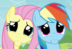 Size: 827x567 | Tagged: safe, derpibooru import, screencap, fluttershy, rainbow dash, pegasus, pony, trade ya, cute, faic, sad face