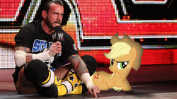 Size: 686x384 | Tagged: safe, applejack, earth pony, pony, cm punk, meme, pipe bomb, wwe