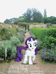 Size: 2736x3648 | Tagged: safe, artist:harpycross, rarity, flower, garden, irl, photo, ponies in real life, solo