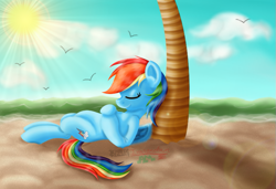 Size: 763x521 | Tagged: safe, artist:inurantchan, derpibooru import, rainbow dash, pegasus, pony, beach, palm tree, sleeping, solo, tree